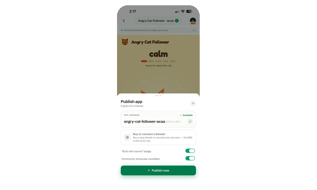 Publish app sheet with address, domain option and toggles