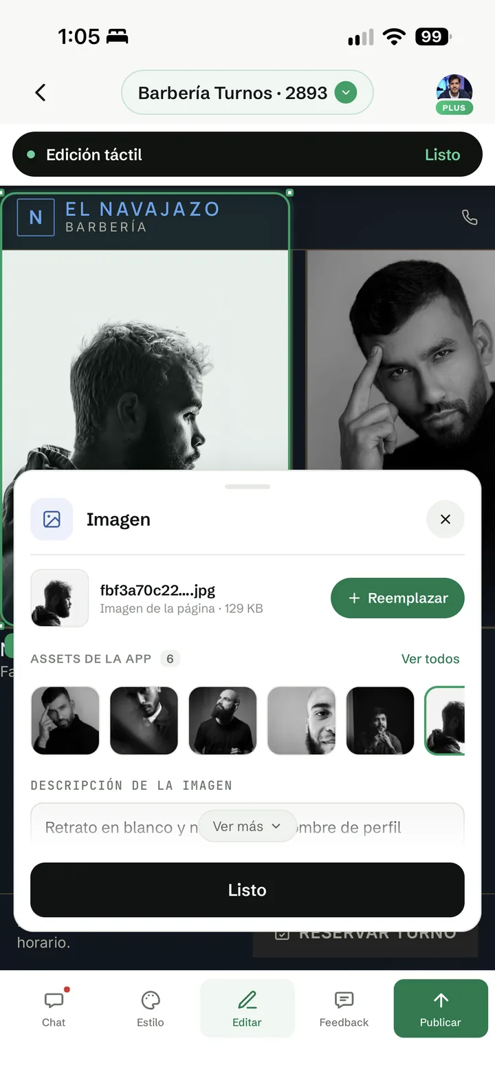 Panel Imagen con el botón Reemplazar y los assets de la app