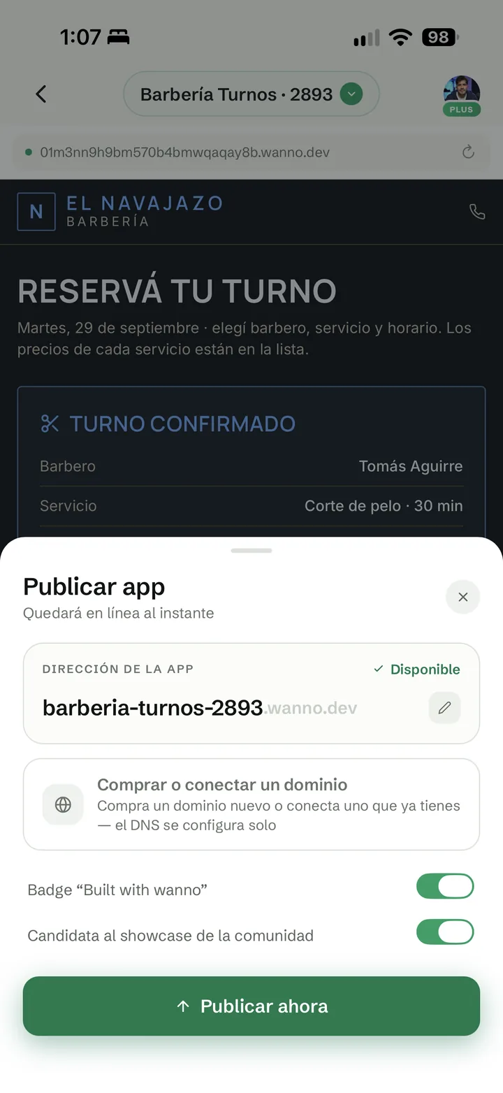 Panel Publicar app con la dirección, la opción de dominio y los interruptores